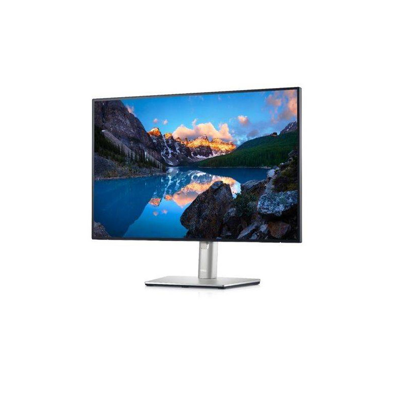 Dell 24,1" U2421E LED (210-AXMB)