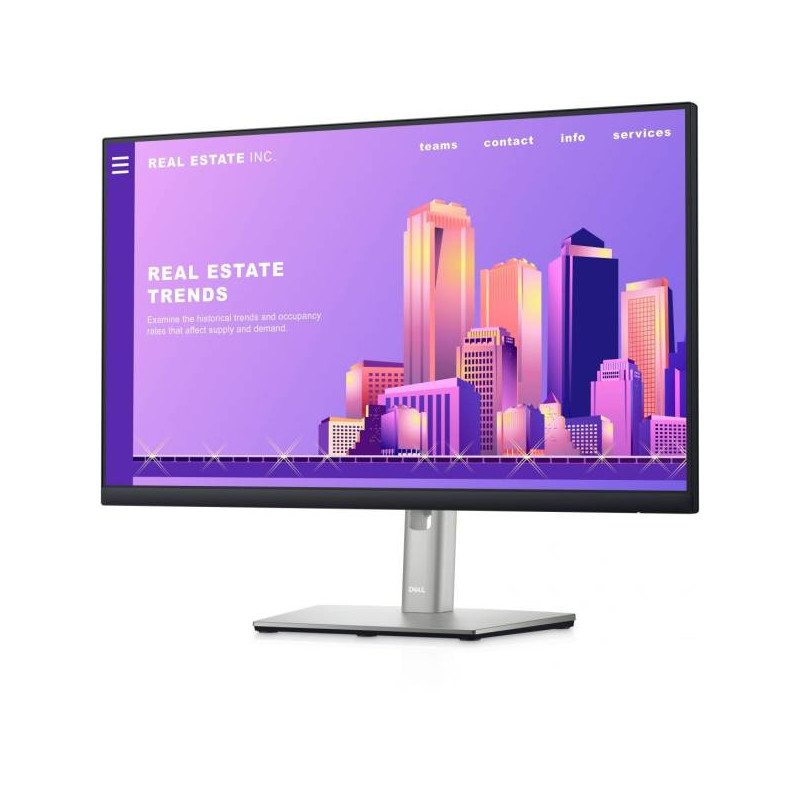 Dell 23,8" P2422H IPS LED (210-AZYX)