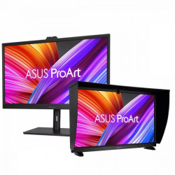 Asus 32" PA32DC OLED (90LM06N0-B01I70)