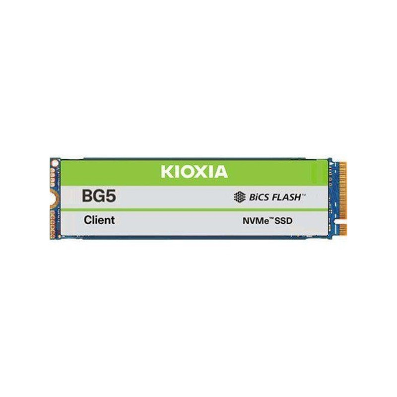 KIOXIA 1TB M.2 2280 NVMe BG5 Client (KBG50ZNV1T02)