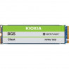 KIOXIA 1TB M.2 2280 NVMe BG5 Client (KBG50ZNV1T02)