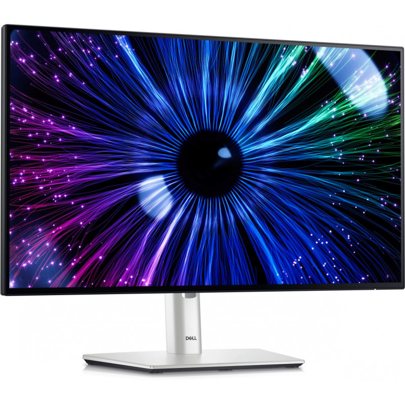 Dell 23,8" U2424HE IPS LED (210-BKJF)