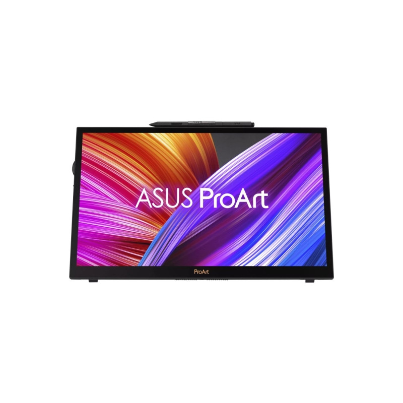 Asus 15,6" PA169CDV IPS LED Display