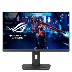 Asus 24,5" XG259QNS IPS LED (90LM09M0-B01370)