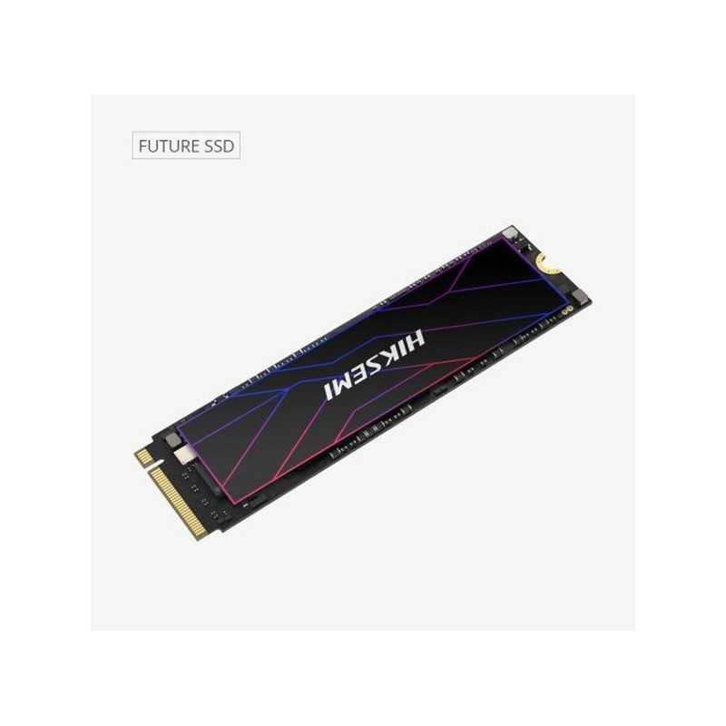 HikSEMI 512GB M.2 2280 NVMe Future (HS-SSD-FUTURE(STD)/512G/PCIE4/WW)