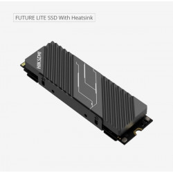 HikSEMI 2TB M.2 2280 NVMe Futurex Lite with Heatsink (HS-SSD-FUTUREX(STD)/2048G/PCIE4/WW)