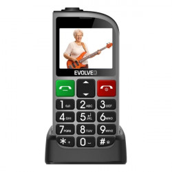 Evolveo EasyPhone EP-801 FL DualSIM Silver (SGM EP-801-FLS)