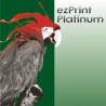 Platinum CLI-551 XL BK chipes